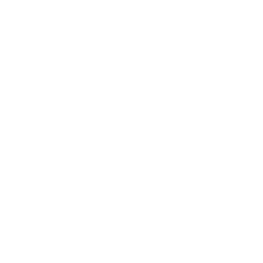 Website Icon